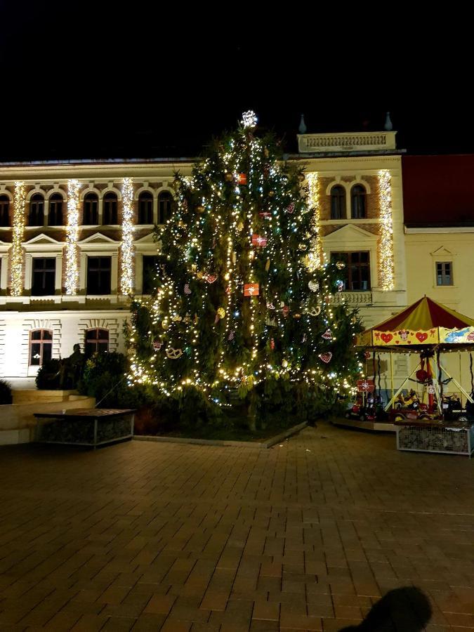 Belvarosi Kerteshaz Keszthely Bagian luar foto
